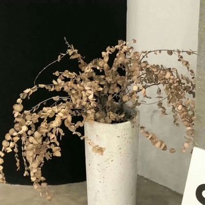 兽设毛发刻画细节福瑞交流群